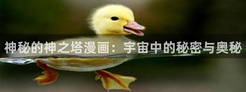 韩漫玩物漫画