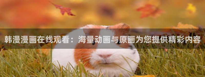 韩漫免费漫画未删减：韩漫漫画在线观看：海量动画与原画为您提供精彩内容