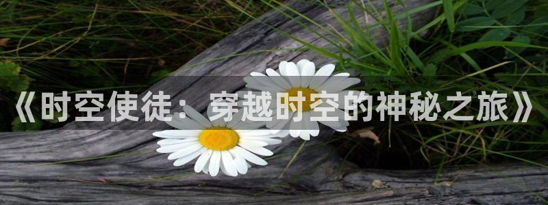 美丽新世界韩漫漫画免费阅读：《时空使徒：穿越时空的神秘之旅》