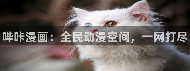 素描韩漫漫画：哔咔漫画：全民动漫空间，一网打尽