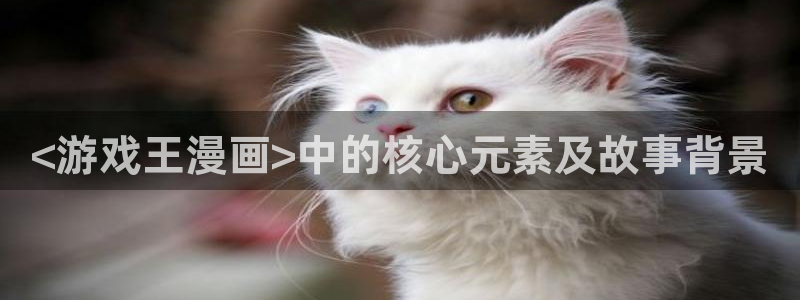 韩漫嘿咻漫画：<游戏王漫画>中的核心元素及故事背景