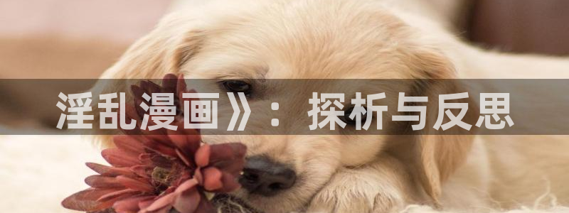 韩漫漫画重考生：淫乱漫画》：探析与反思