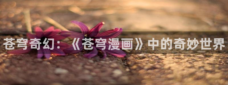韩漫社漫画免费观看：苍穹奇幻：《苍穹漫画》中的奇妙世界