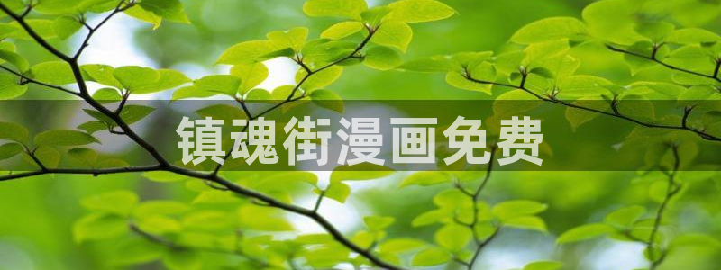 韩漫在线观看歪歪：镇魂街漫画免费