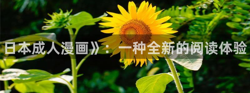 3d漫画韩漫：日本成人漫画》：一种全新的阅读体验