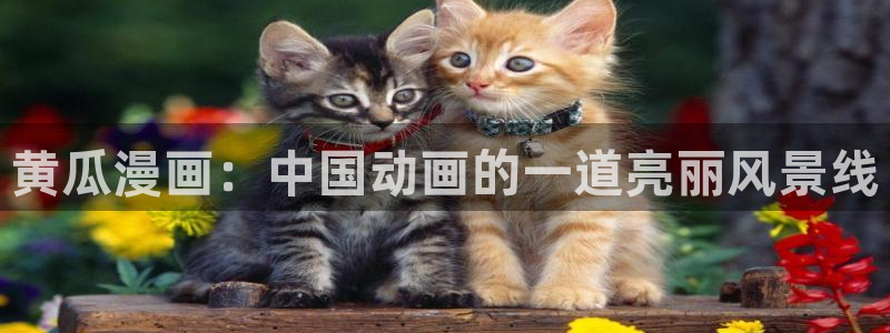 韩漫在哪里看：黄瓜漫画：中国动画的一道亮丽风景线