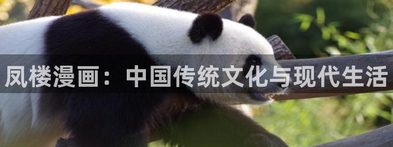 韩漫在线观看免费入口：凤楼漫画：中国传统文化与现代生活