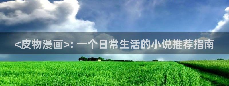 韩漫网站入口com：<皮物漫画>: 一个日常生活的小说推荐指南