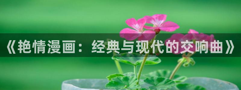 免费韩漫在线看网站：《艳情漫画：经典与现代的交响曲》