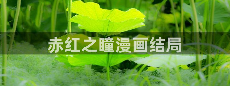 韩漫现场直播漫画在哪里看：赤红之瞳漫画结局