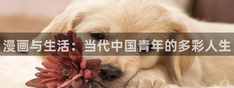 免费韩漫网站全网查：漫画与生活：当代中国青年的多彩人生