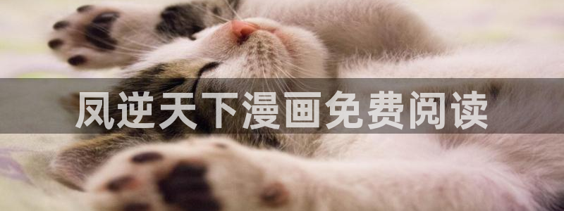 韩漫免费资源大全：凤逆天下漫画免费阅读