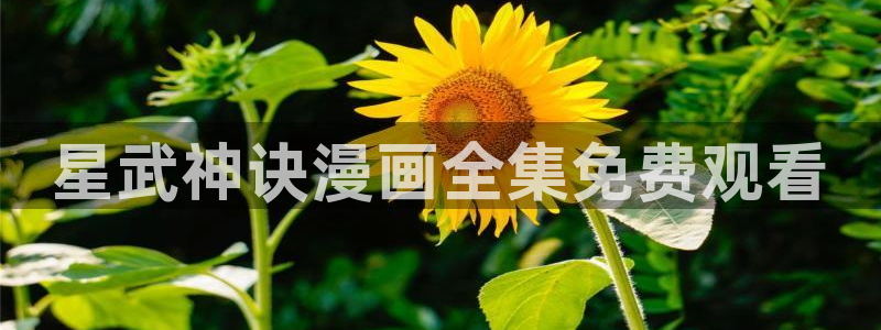 傀儡漫画韩漫：星武神诀漫画全集免费观看