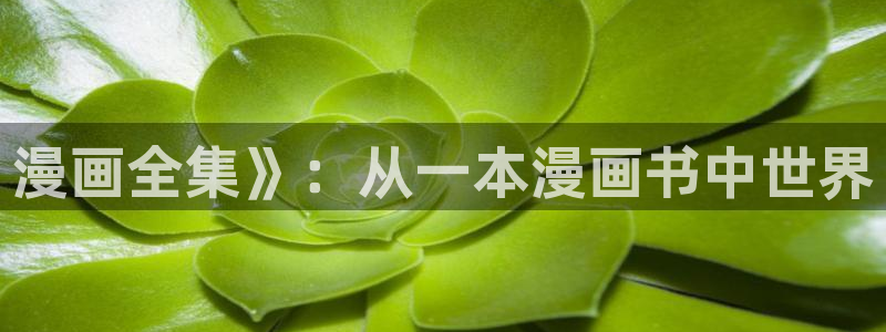 韩漫之家漫画推荐：漫画全集》：从一本漫画书中世界