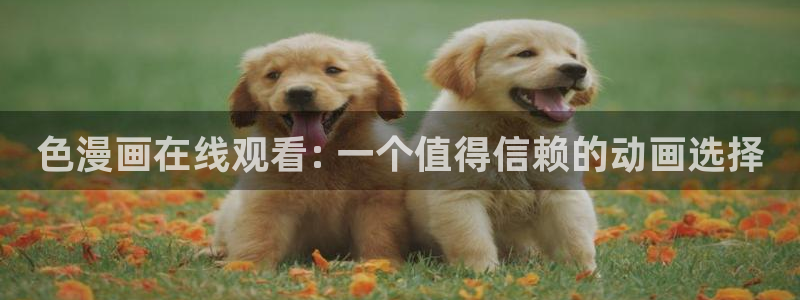 十八禁韩漫网站：色漫画在线观看: 一个值得信赖的动画选择